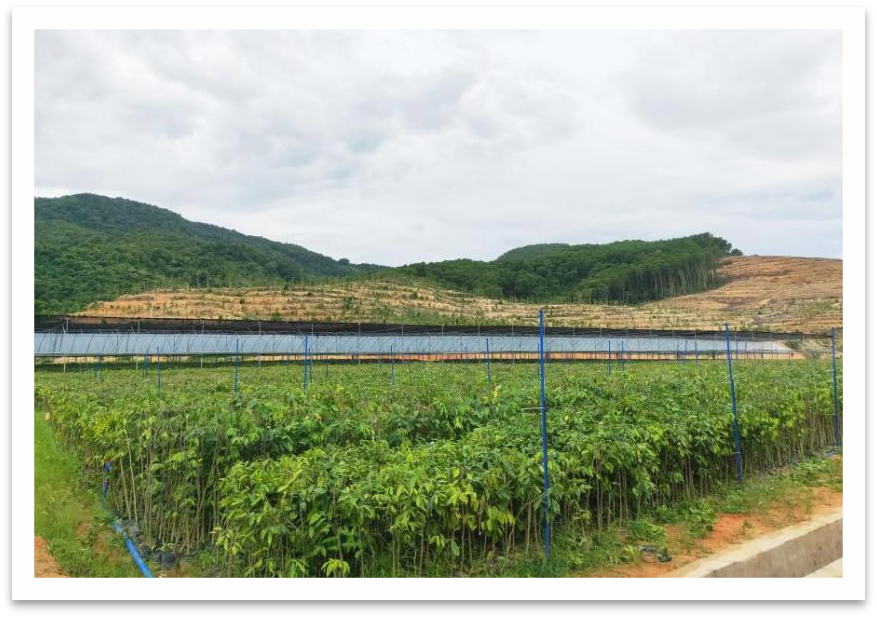 1632475079531769.png 4.png