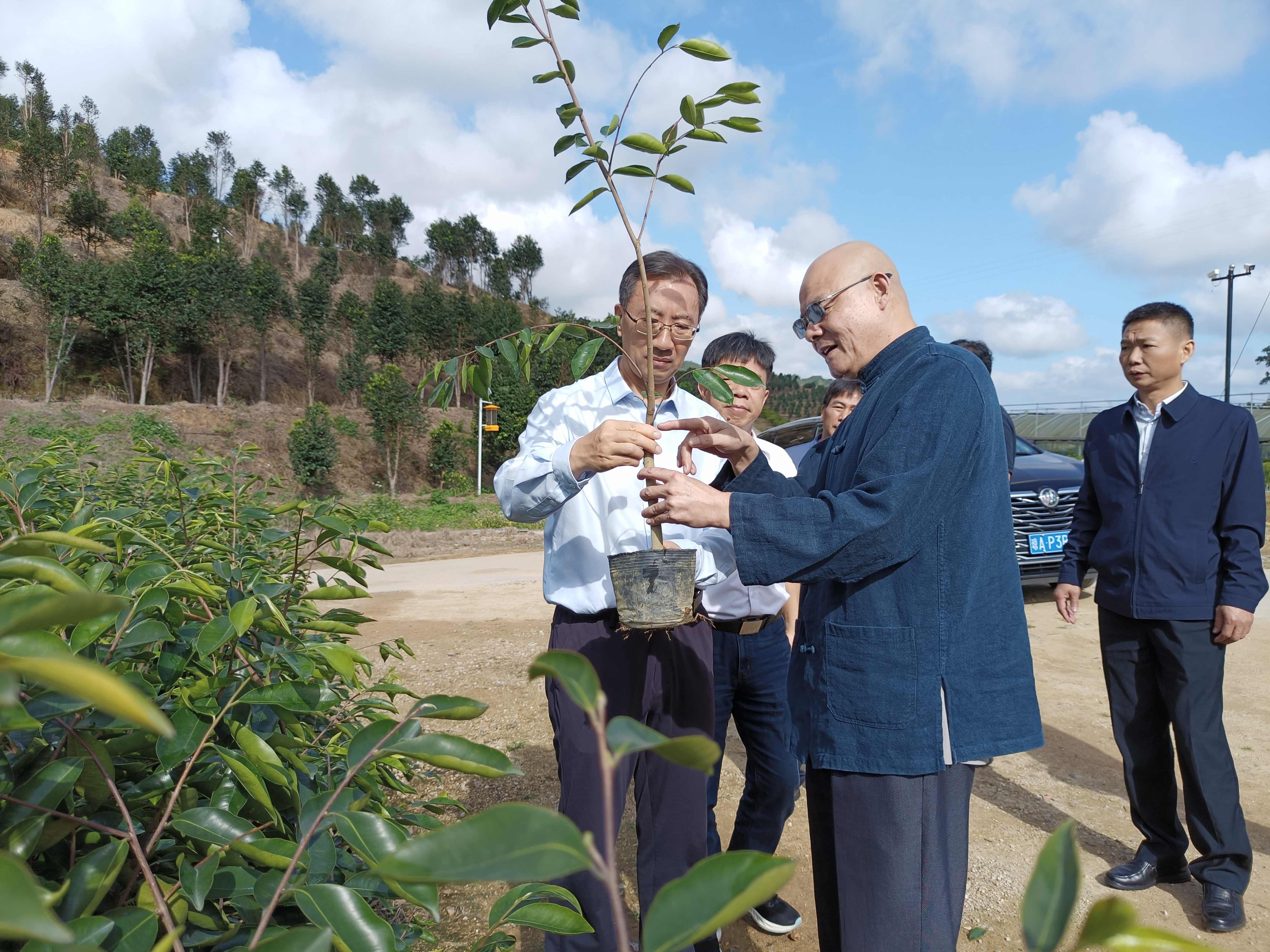 1705886098590539.jpg 1705886098590539.jpg