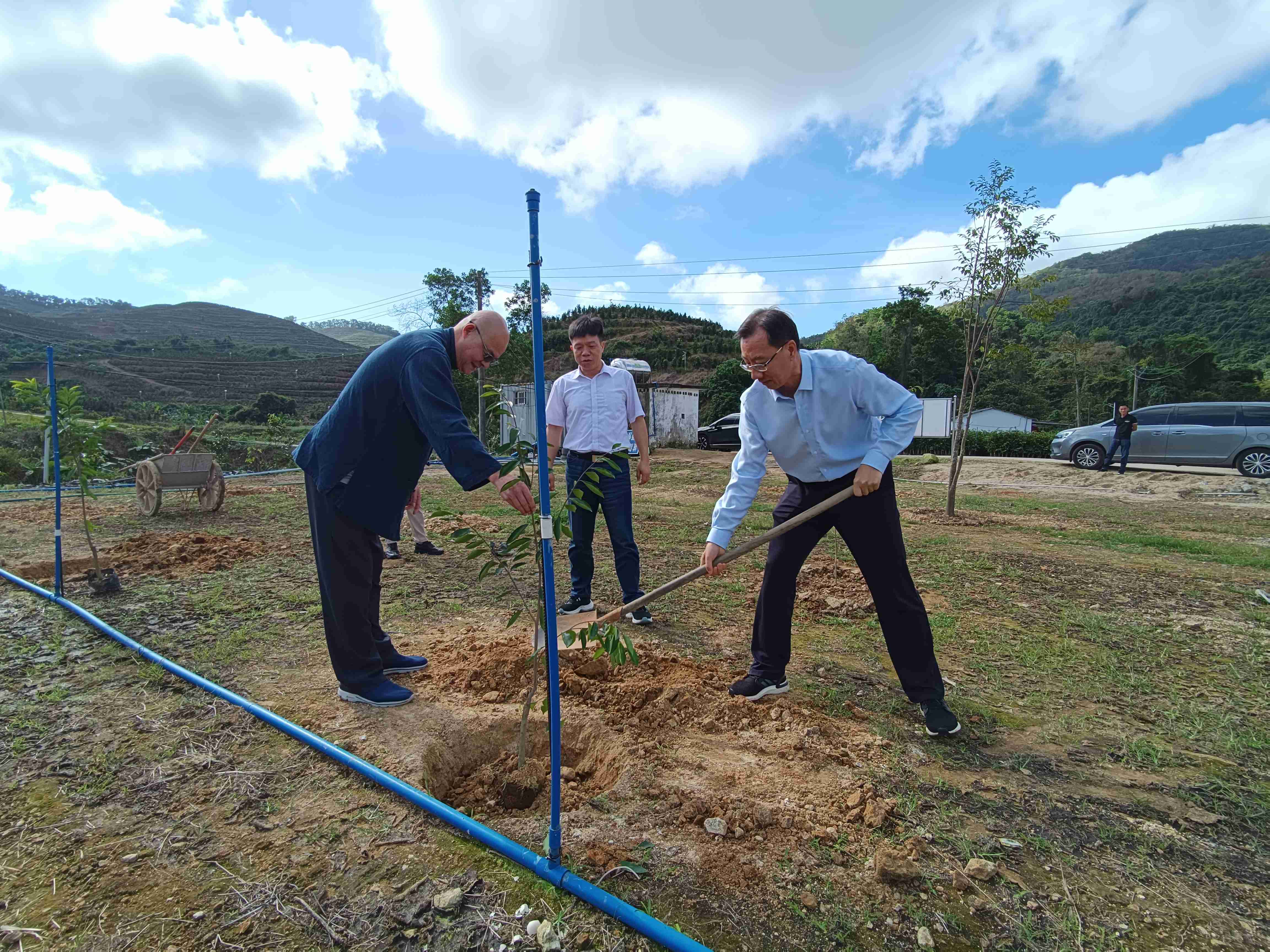 1705886234675450.jpg 1705886234675450.jpg