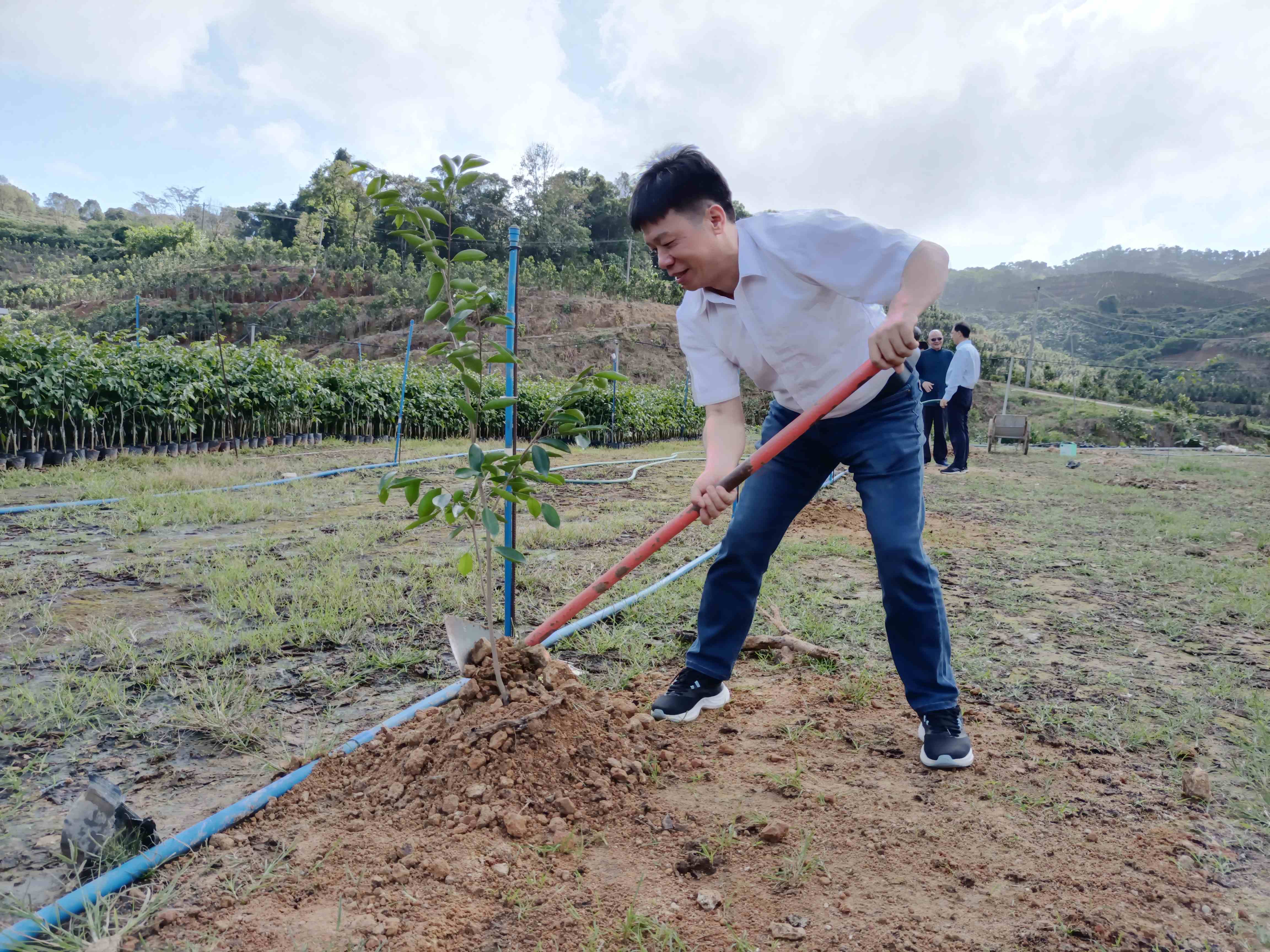 1705886271350934.jpg 1705886271350934.jpg