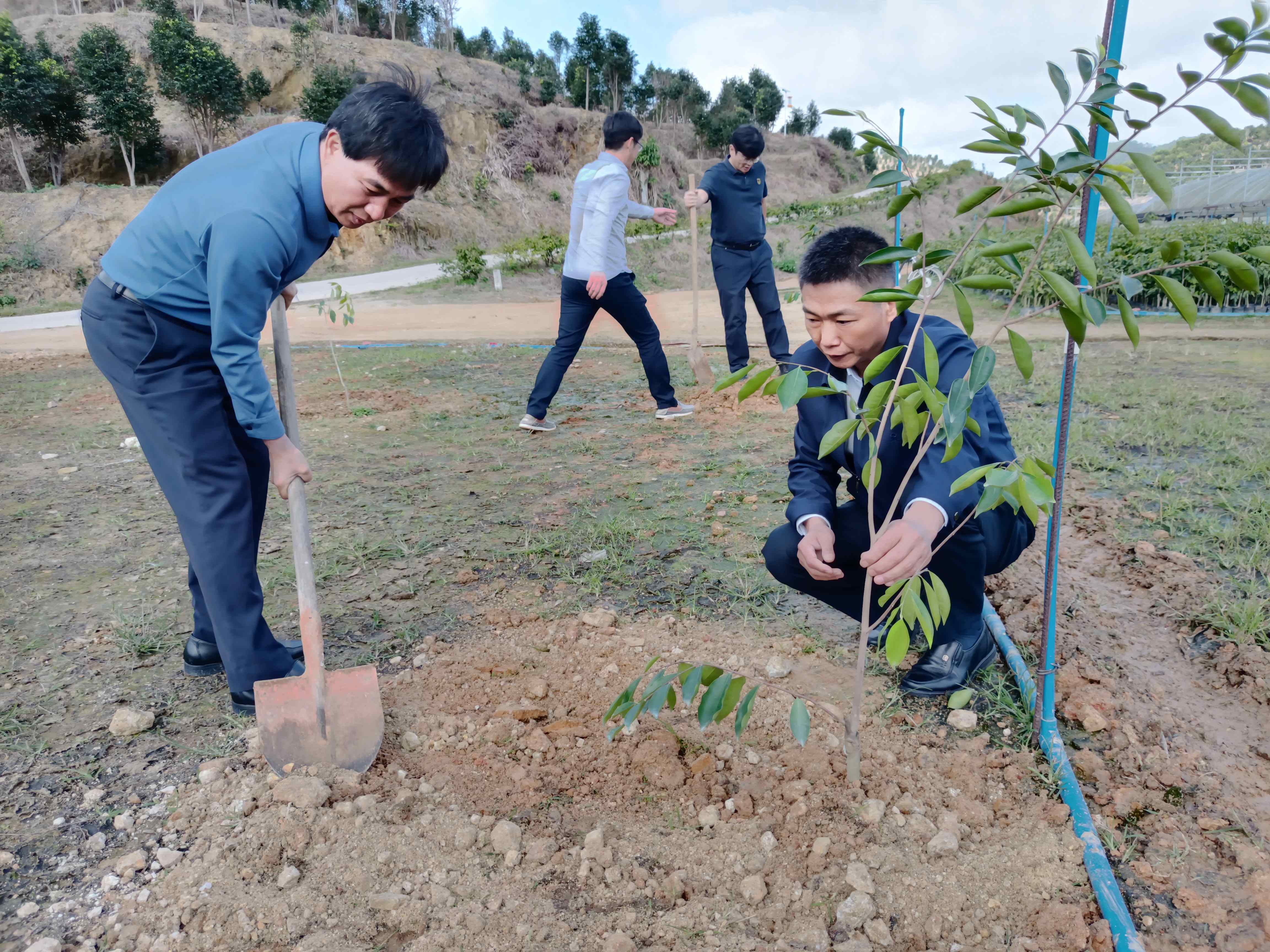 1705886302401635.jpg 1705886302401635.jpg