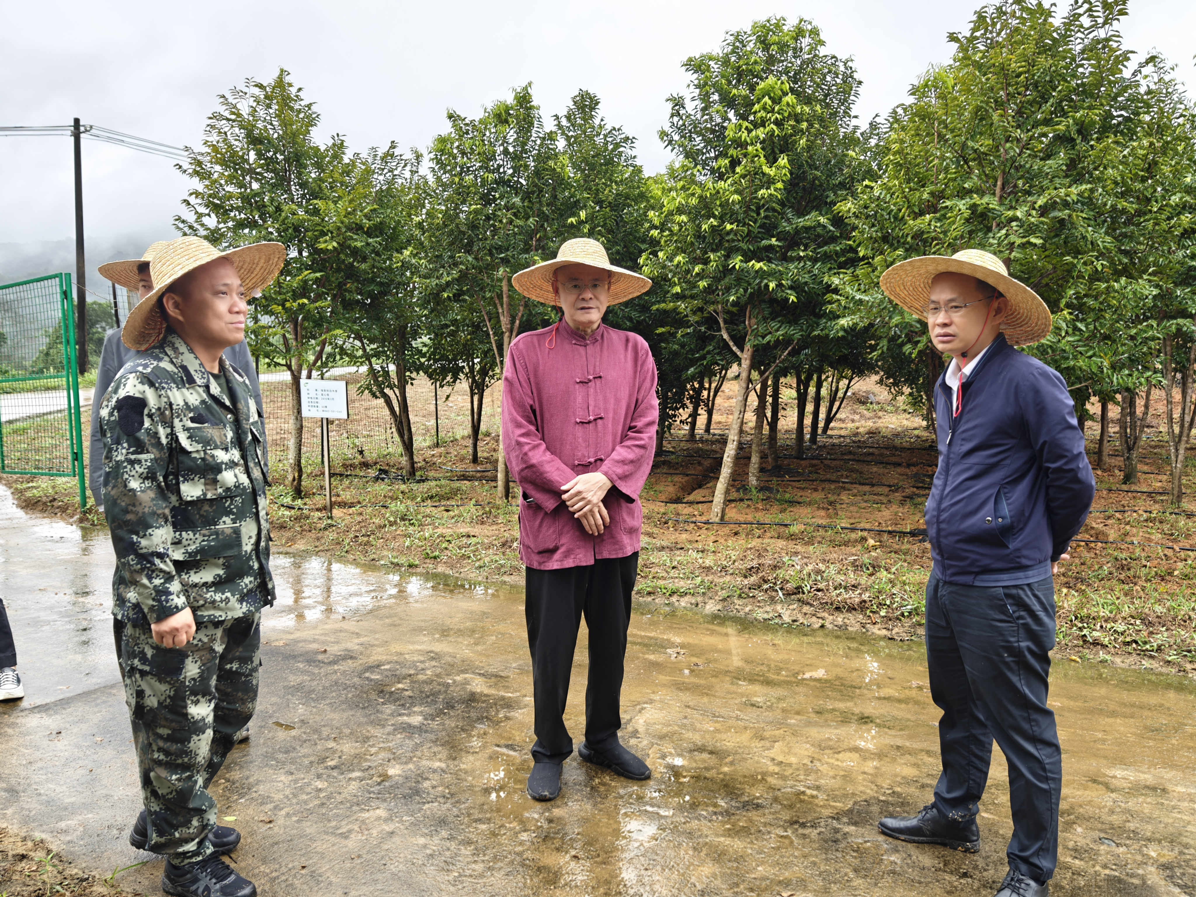 1710233306856253.jpg 1710233306856253.jpg