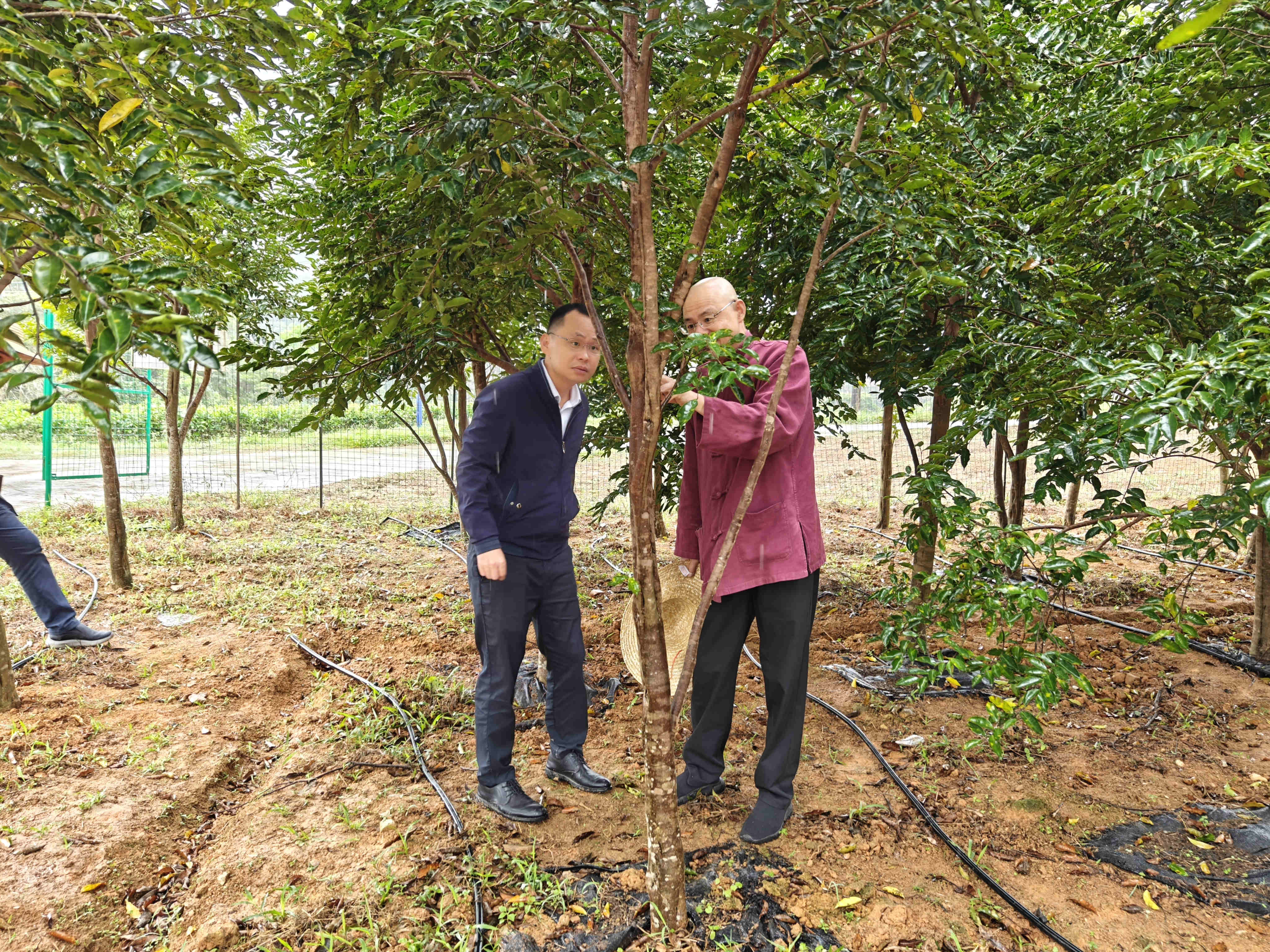 1710233357608917.jpg 1710233357608917.jpg