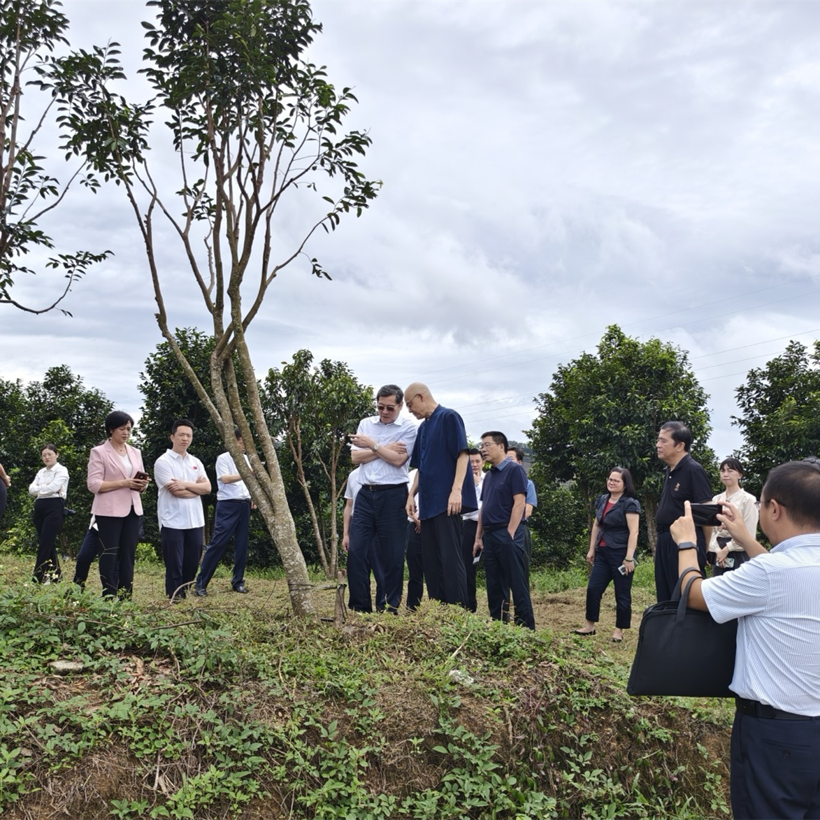 1727172062382946.jpg 1727172062382946.jpg