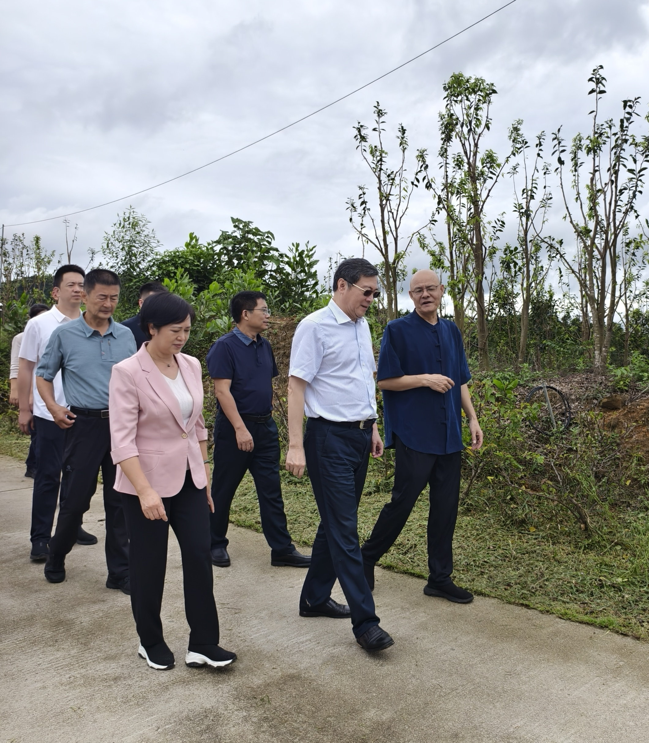 1727172084545236.jpg 1727172084545236.jpg