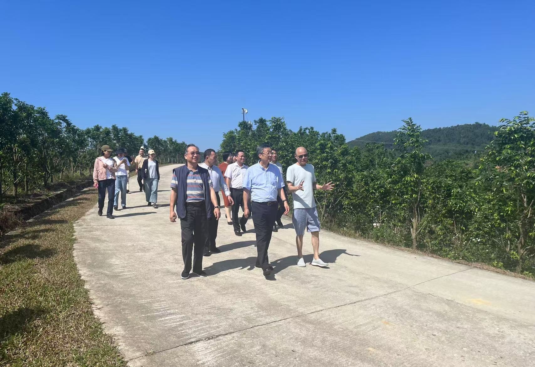 1731142074140726.jpg 1731142074140726.jpg