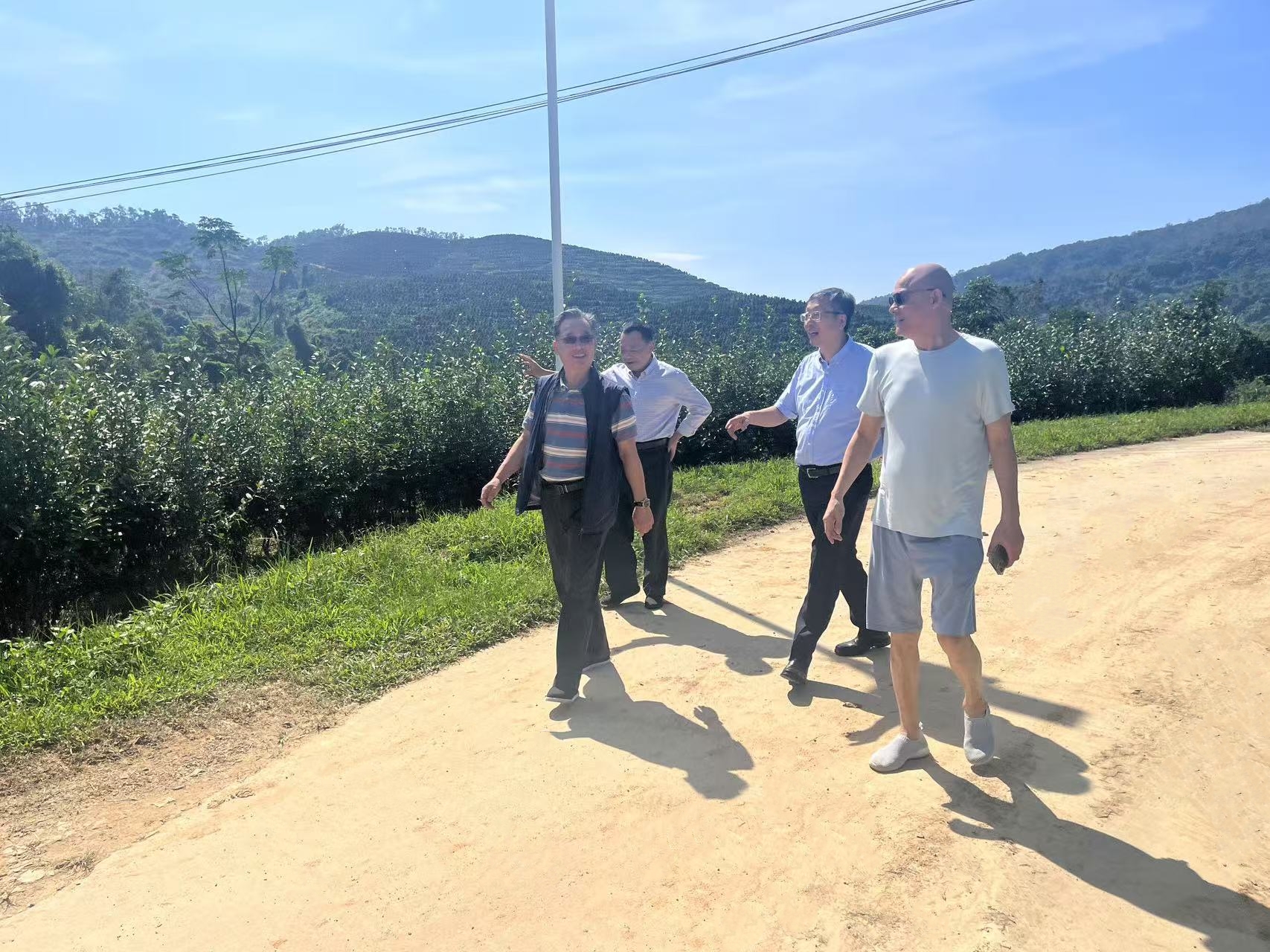 1731142095643535.jpg 1731142095643535.jpg