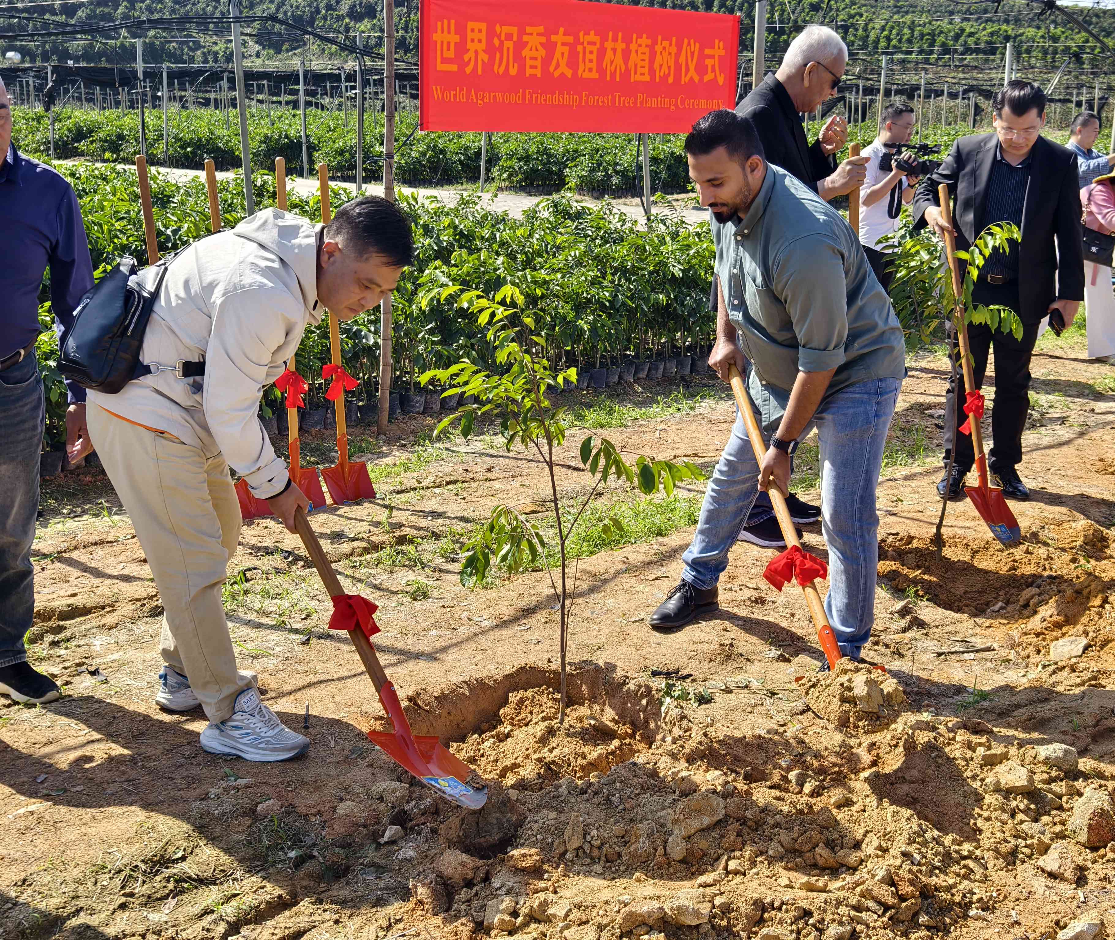 1732862242847777.jpg 1732862242847777.jpg