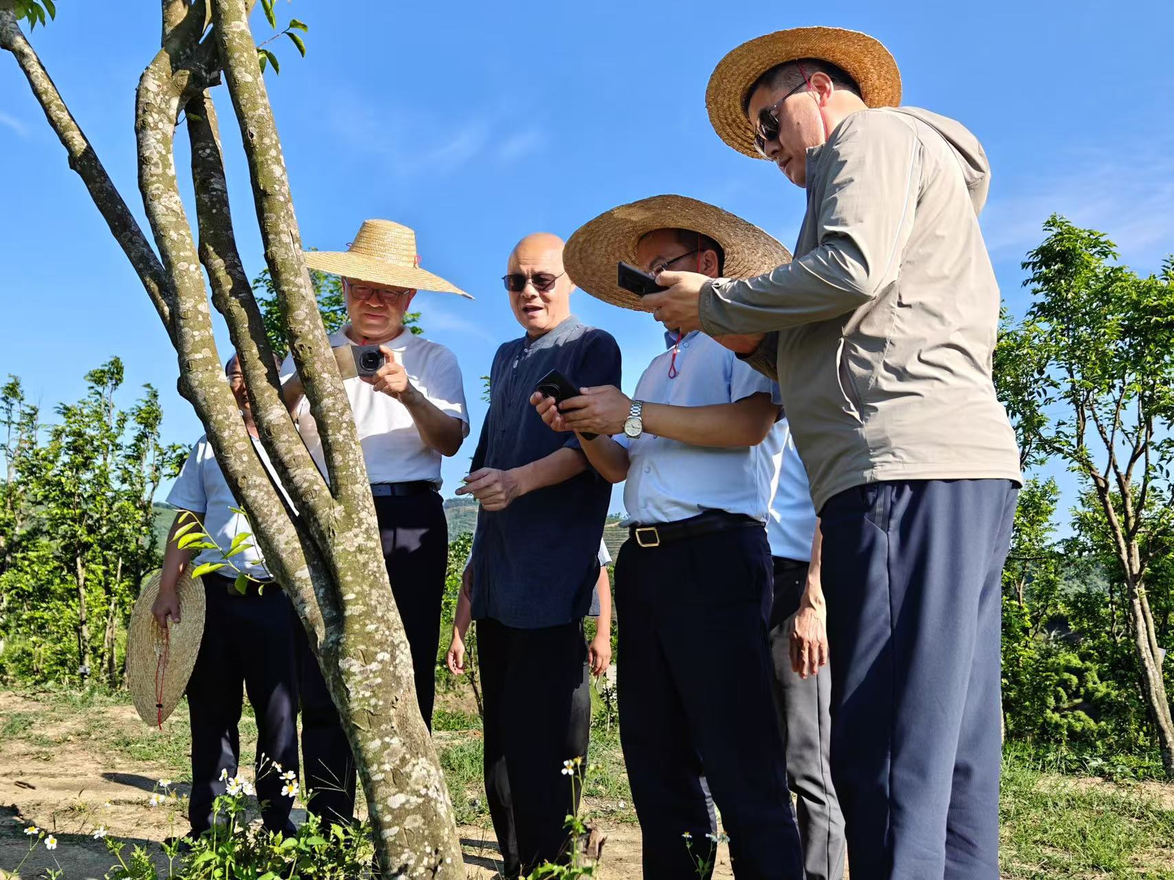 1745287651117263.jpg 1745287651117263.jpg