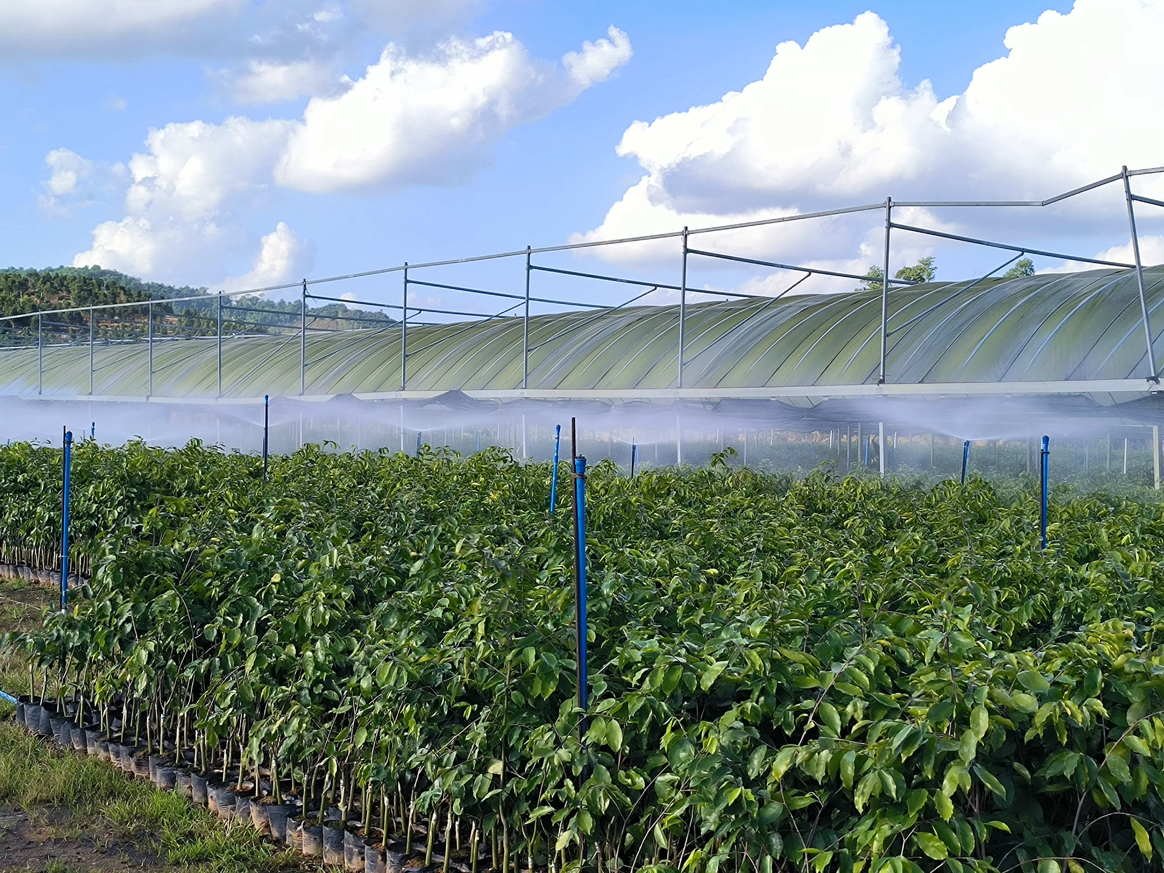 1747366763910877.jpg 1747366763910877.jpg